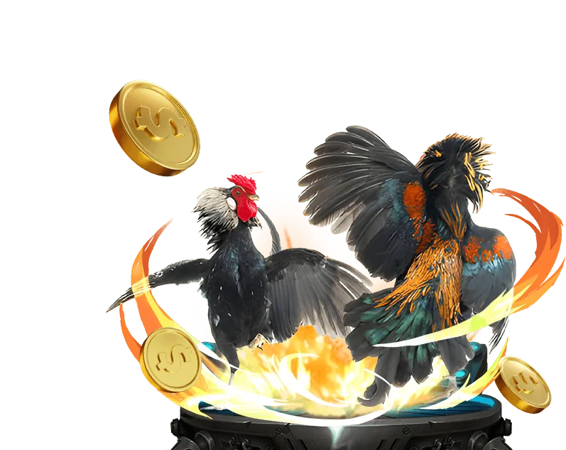 Lịch Sử Phát Triển Của WON99